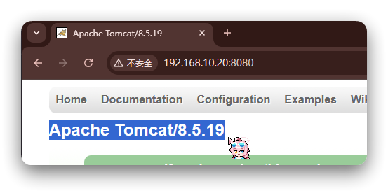 网络查找版本漏洞