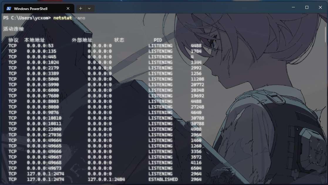 当前所有端口使用情况